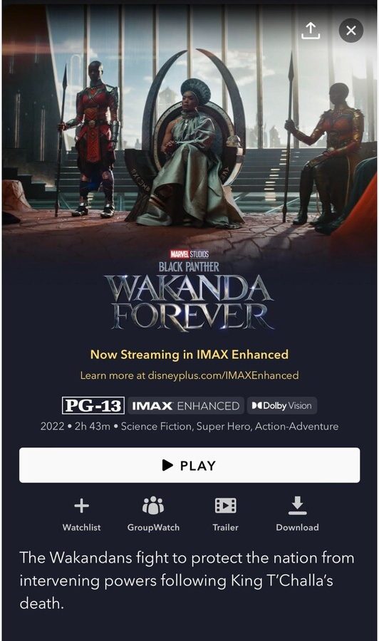 Black+Panther%3A+Wakanda+Forevers+Attempt+to+Surpass+its+Predecessors+Legacy