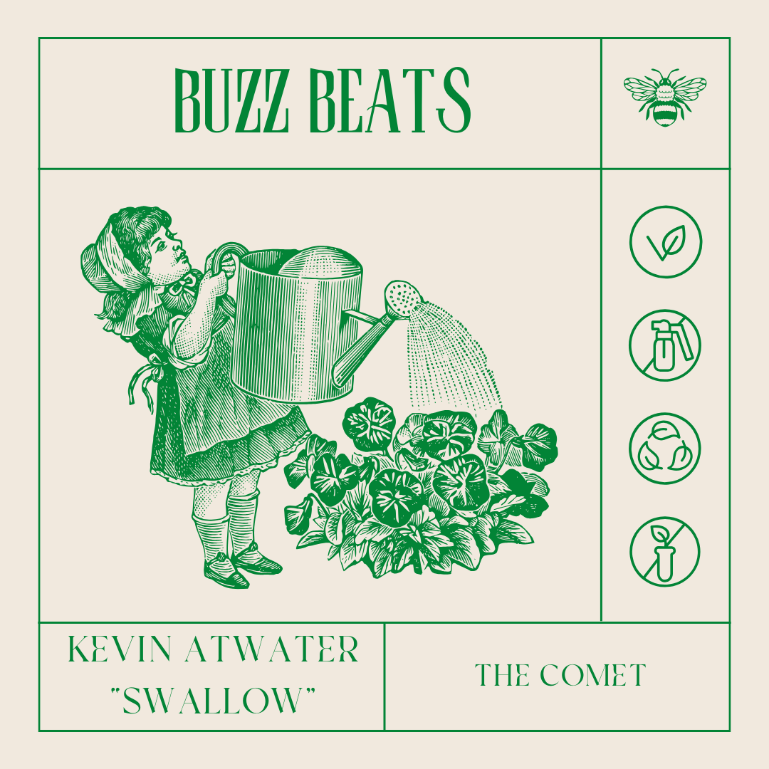 BUZZ BEATS: Swallow by Kevin Atwater