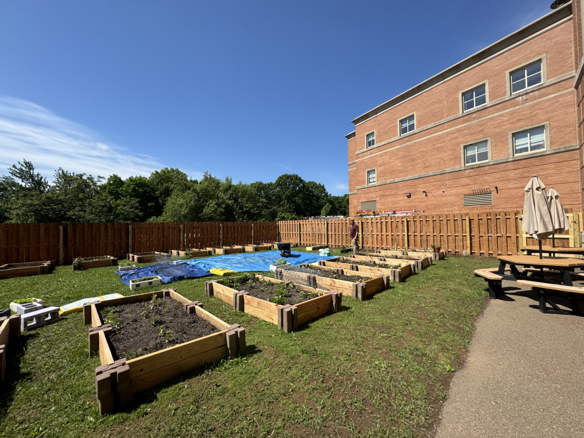 EHHS Culinary and Environmental Science Programs Plant a Garden