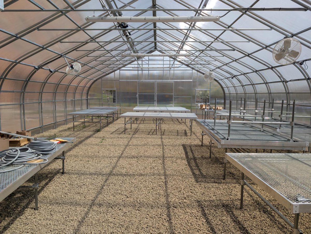 The EHHS Campus Greenhouse: A Blooming Hive