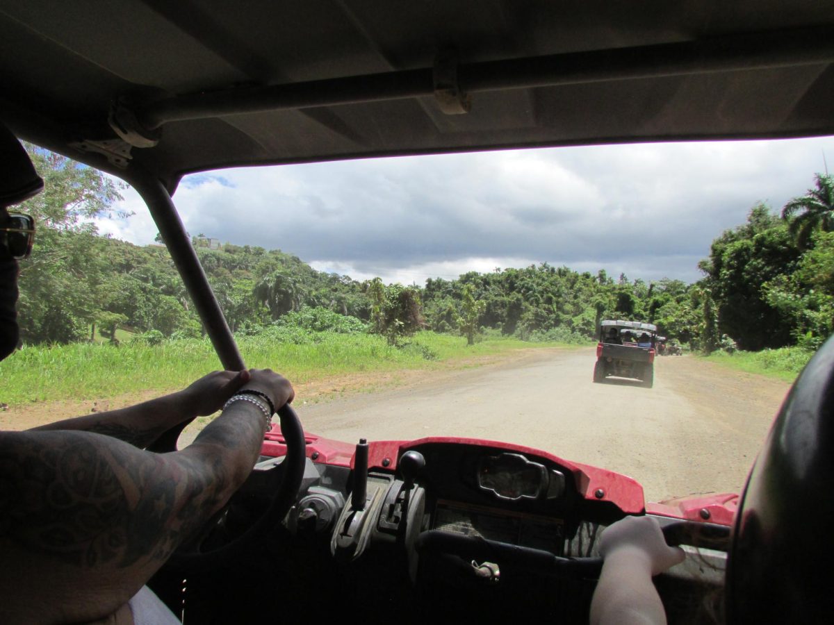 Speeding Through the Forest