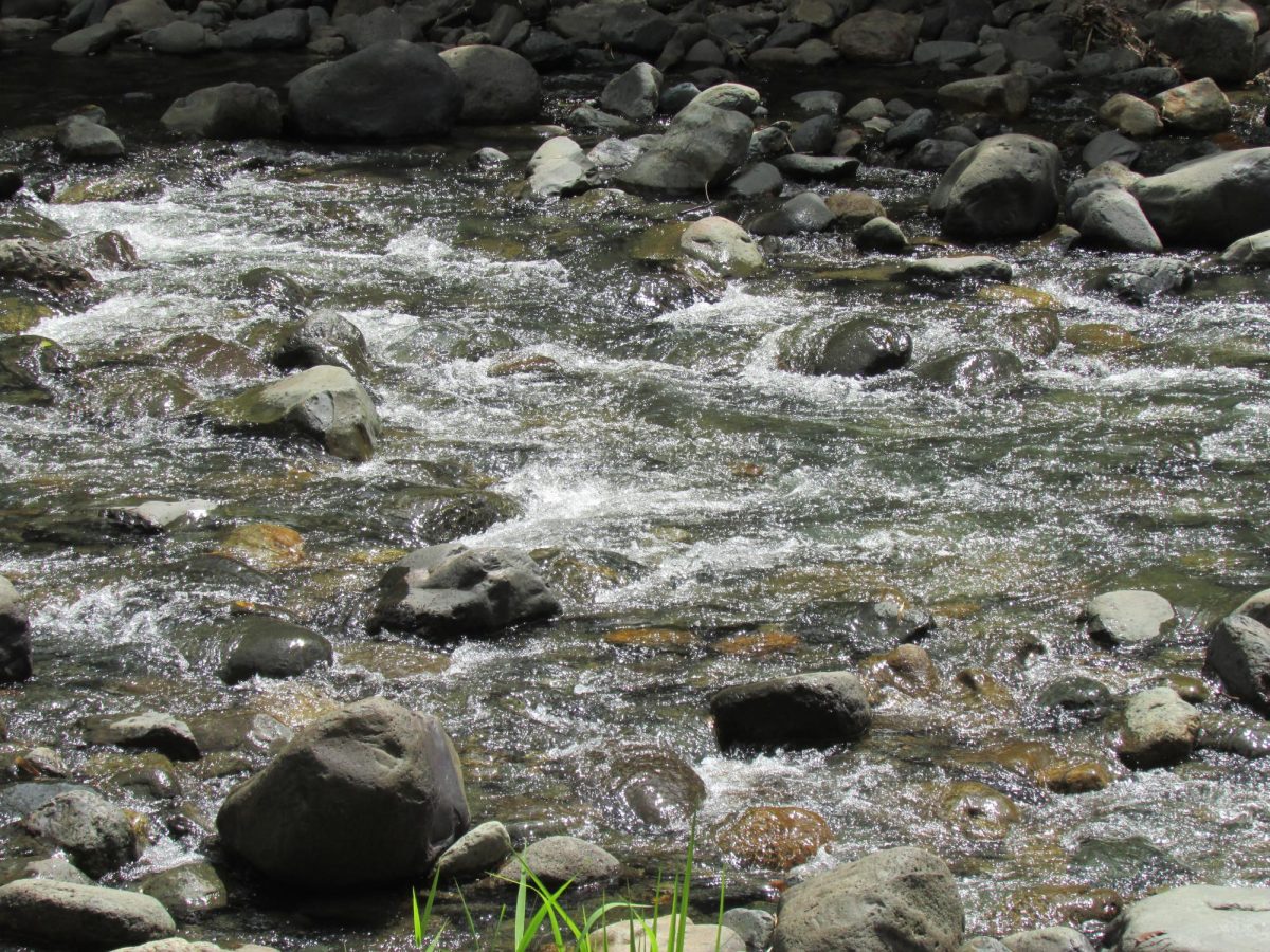 The Rush of a River