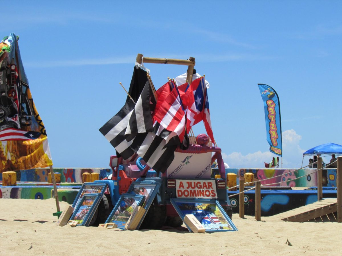 A Flag in the Wind