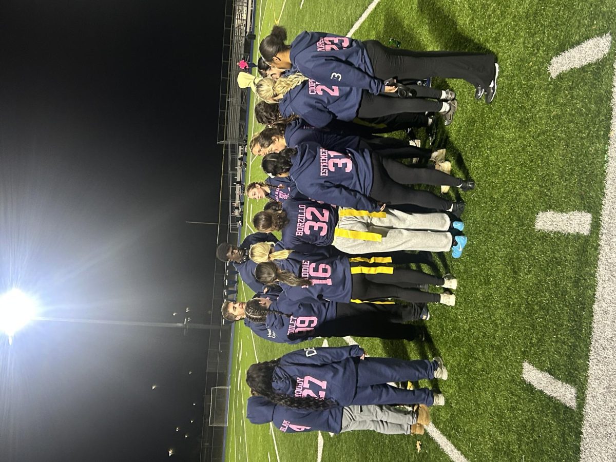 ICON ISSUE: The Fashion Behind PowderPuff