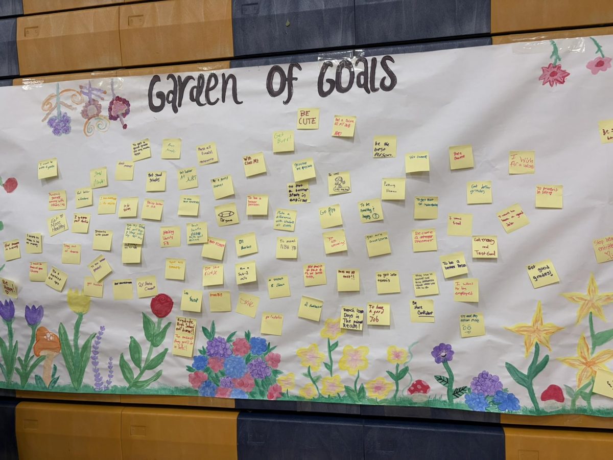 All's Well With the Wellness Fair
