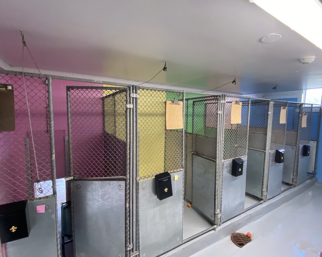 Dog runs and holding cell